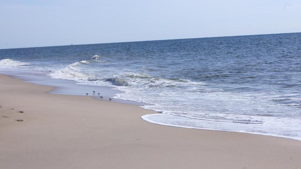 Mini Beach House I Sylt/Rantum Quarto foto